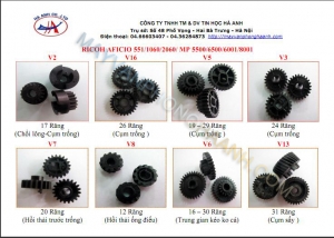 Bảng tra mã bánh răng Ricoh